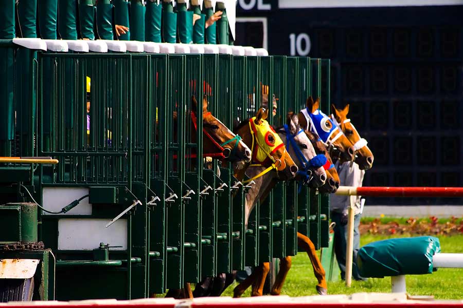 Melbourne Spring Carnival 2018 is here!